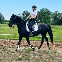 Sportponi Moonlite Melody 